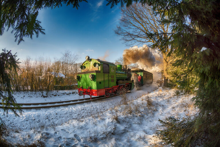 D71_3660_roland_winter